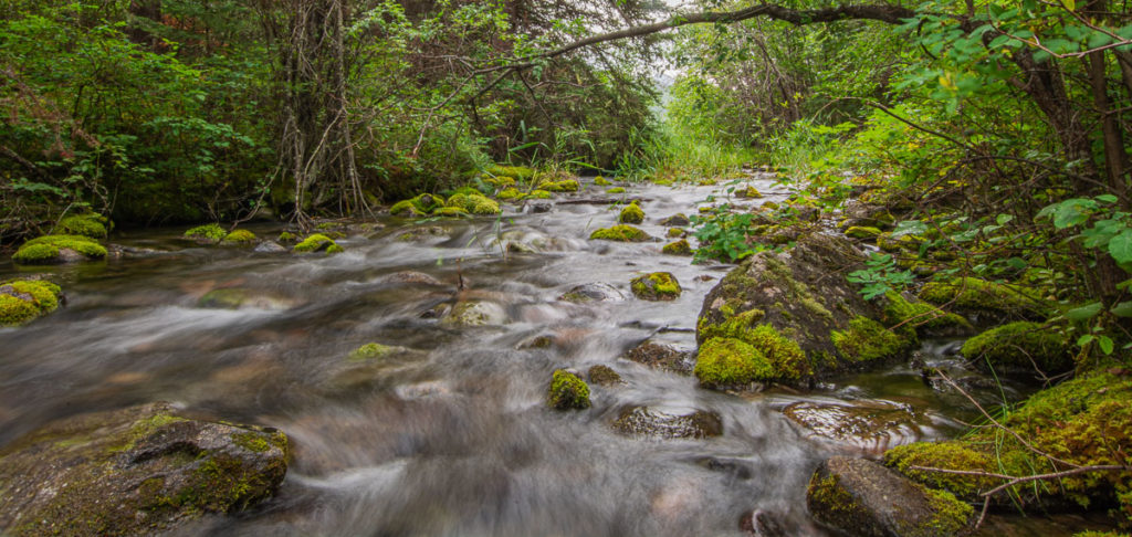 photo of a water motion in a river taken during our hike at the valley of the fifth lake in jasper national park Alberta Canada